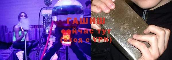 сатива Новокубанск