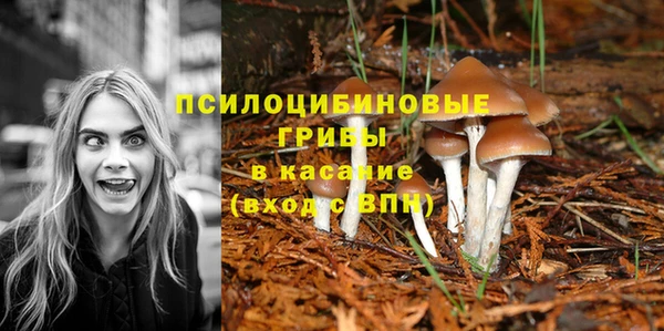 дмт Нея