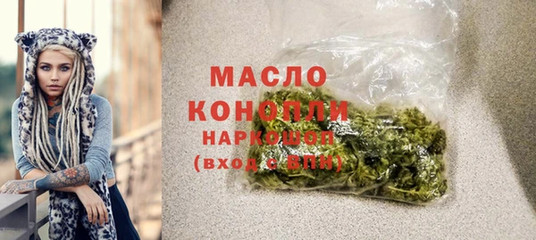 прущий лед Новозыбков