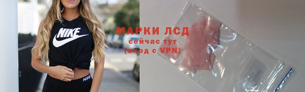 дмт Нея