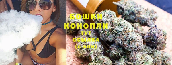 прущий лед Новозыбков