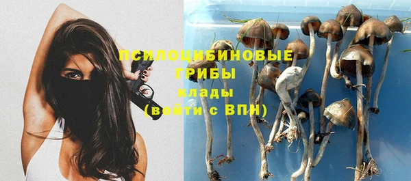 марки lsd Новодвинск