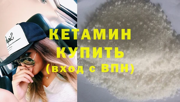 сатива Новокубанск