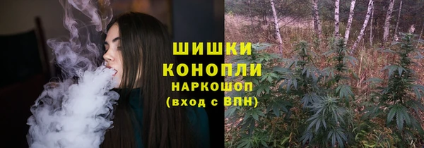 сатива Новокубанск
