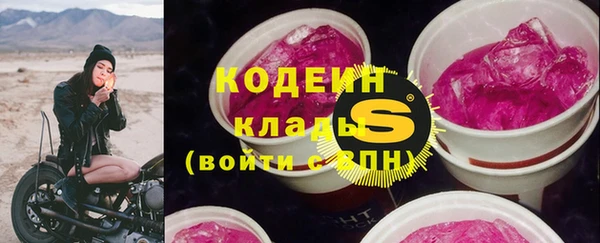прущий лед Новозыбков