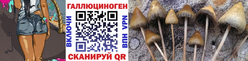 Галлюциногенные грибы ЛСД  Чкаловск 
